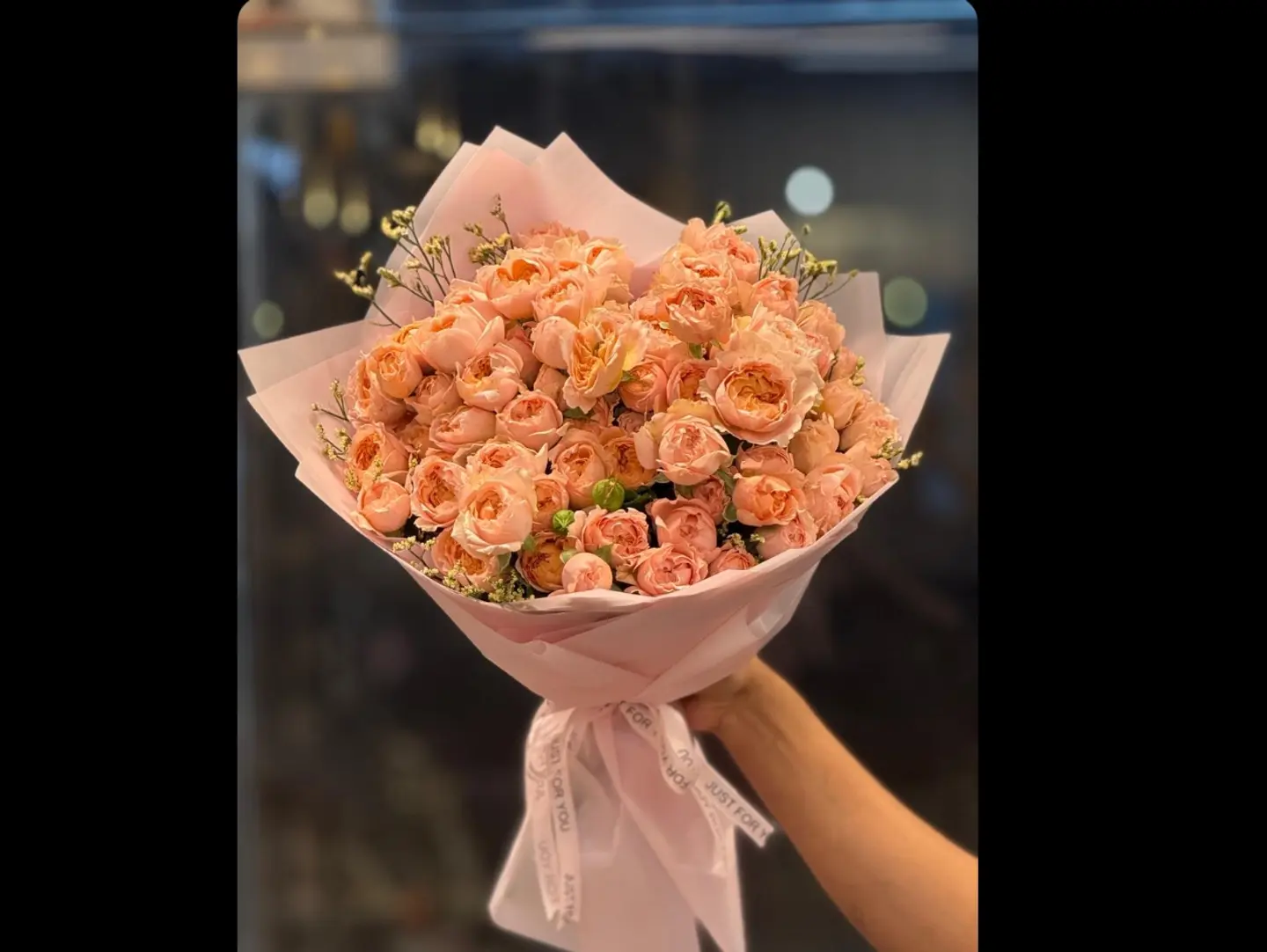 The Wonderful Baby Juri Garden Package