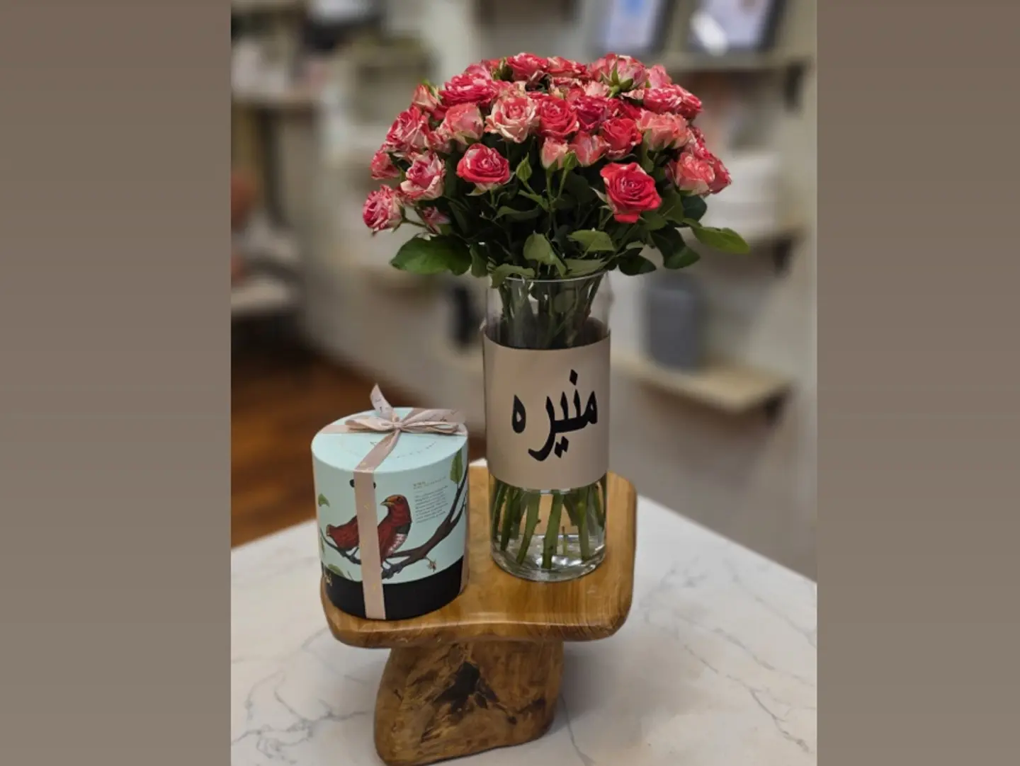 فازه انوش ٣