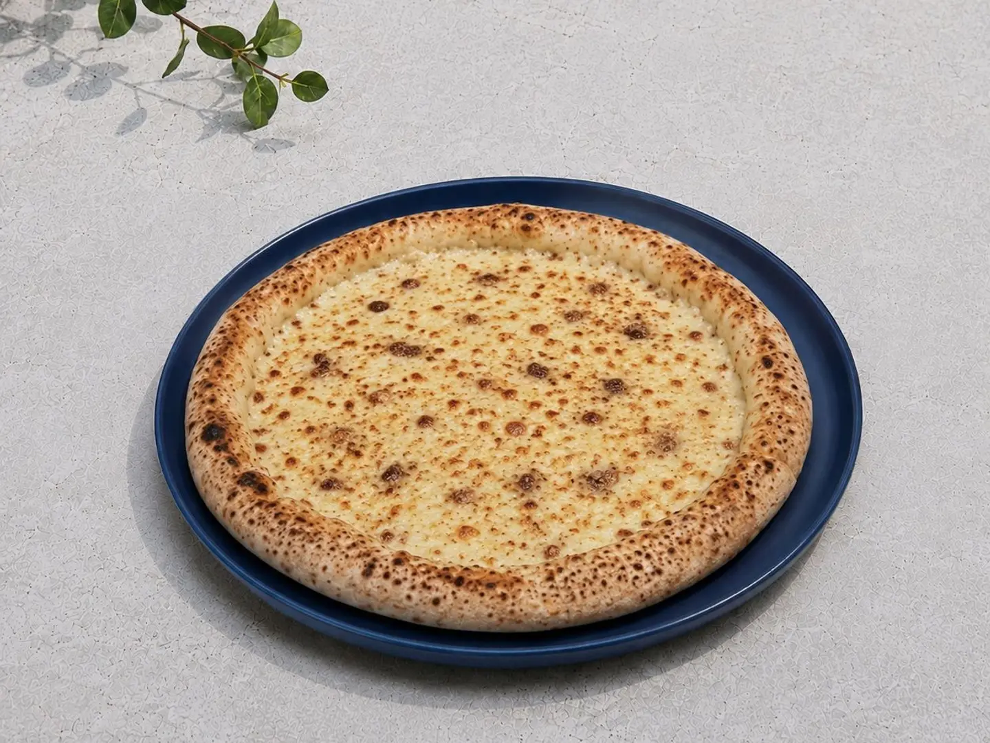 بيتزا ترفل