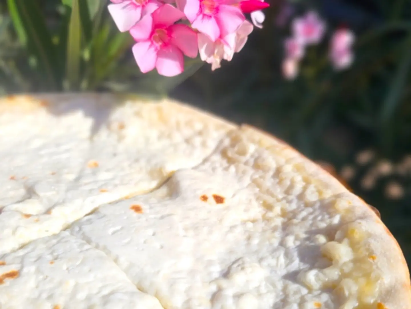 Cheese Mankusha