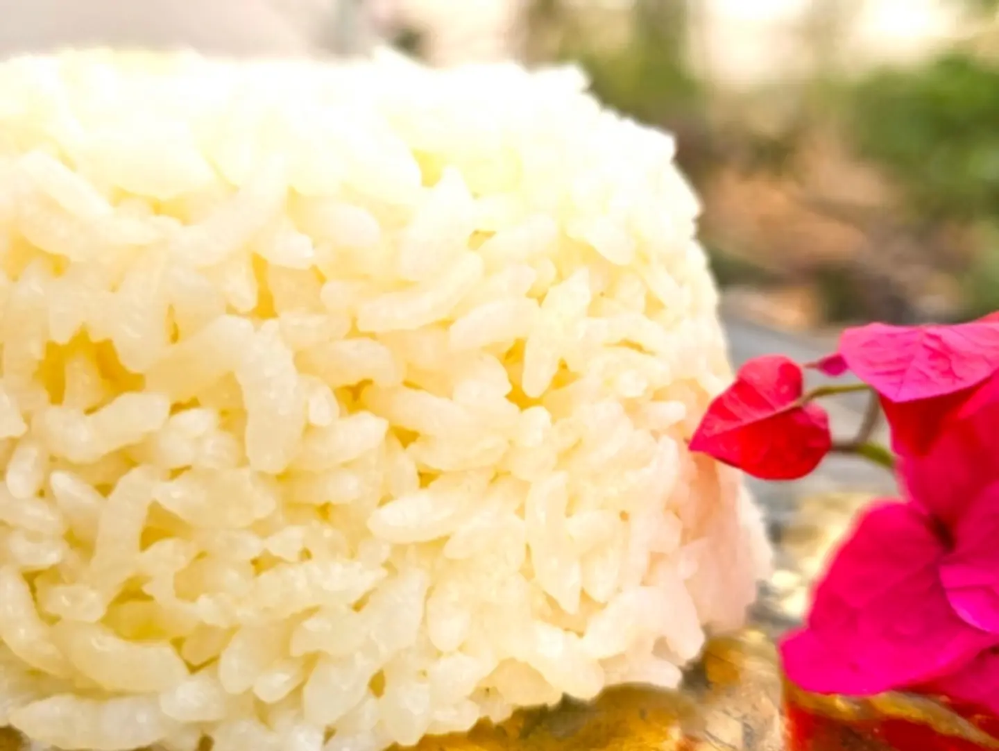 White Rice