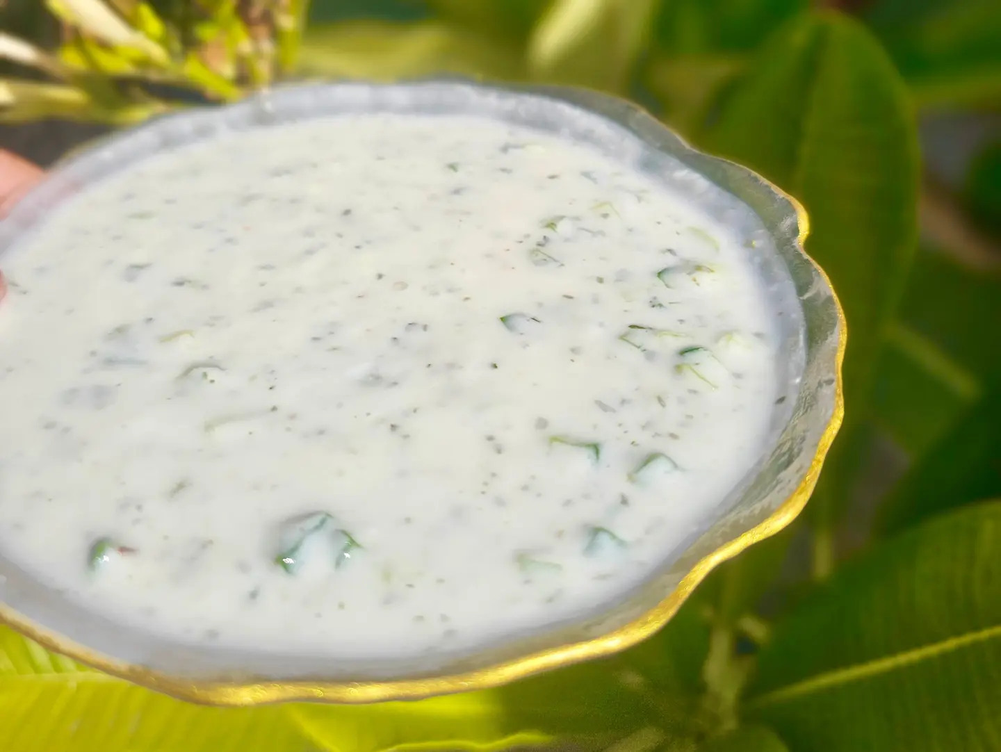Yogurt With Cucumber