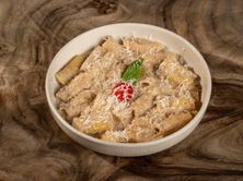 ترافيل بريسكت ريجاتوني