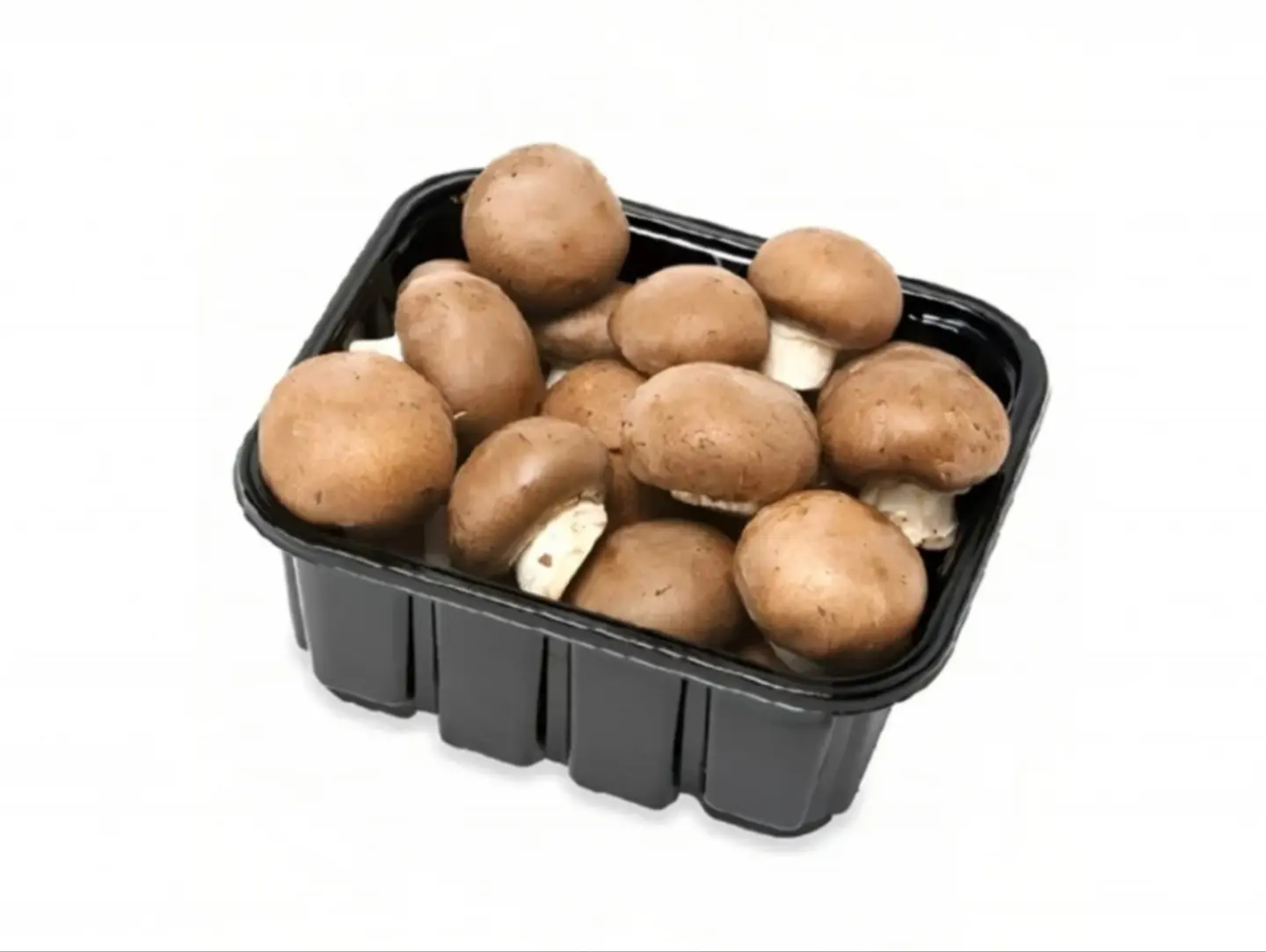 فطر بني علبه