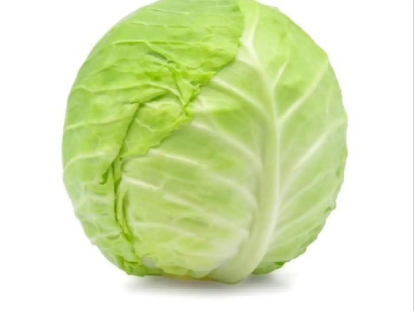 ملفوف ابيض حبه