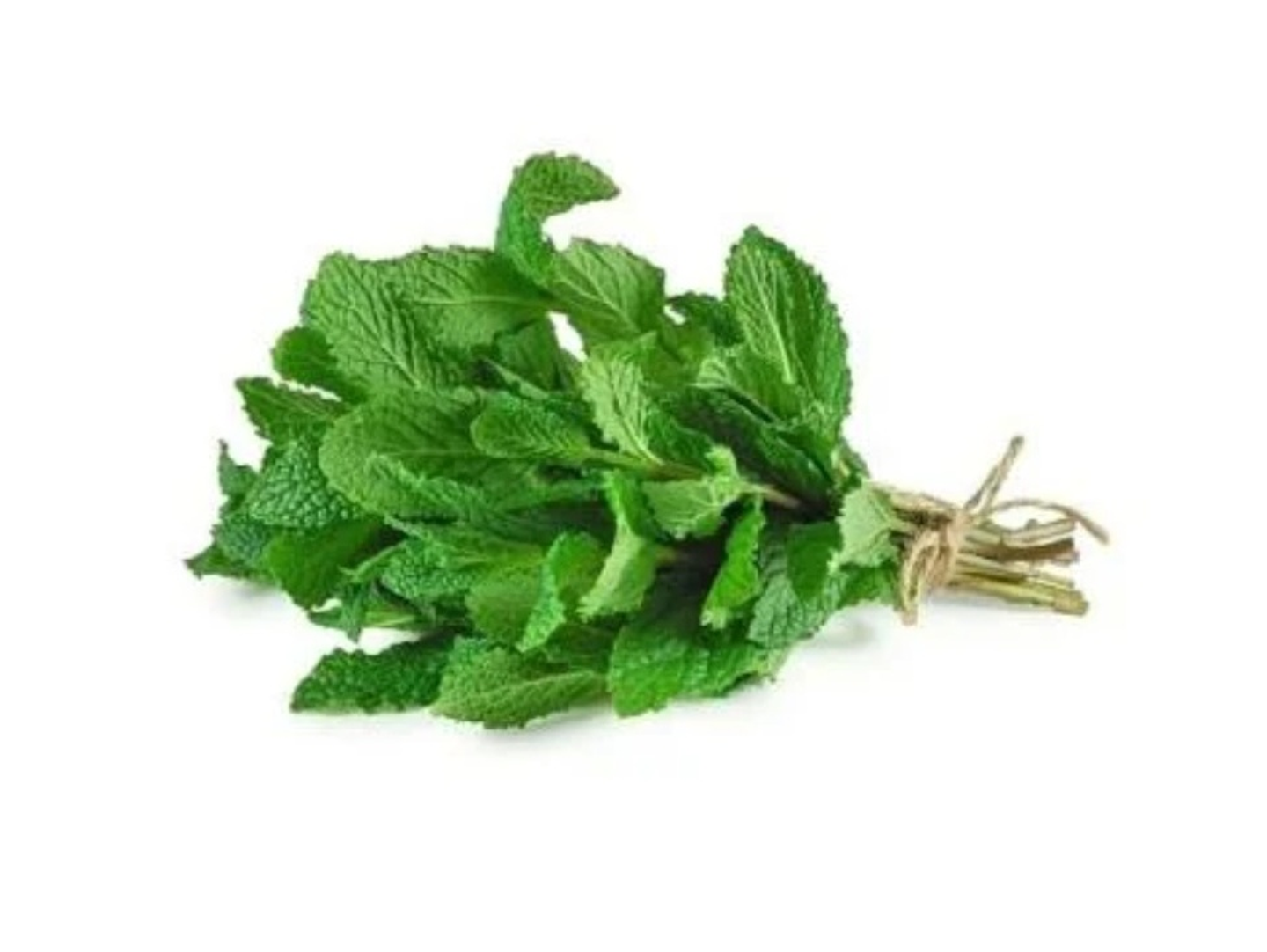 نعناع حزمة