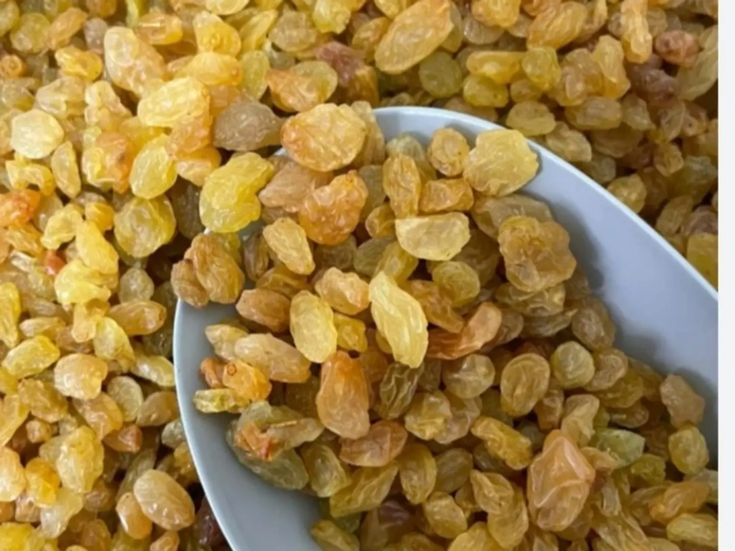 زبيب علبه
