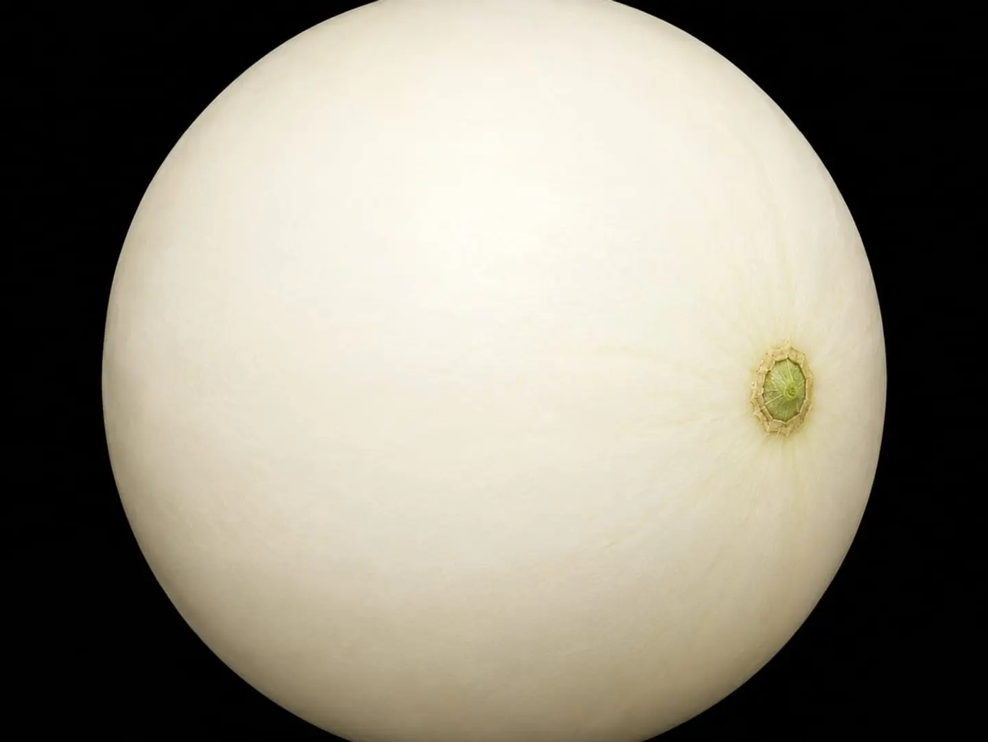 شمام ايراني عسلي