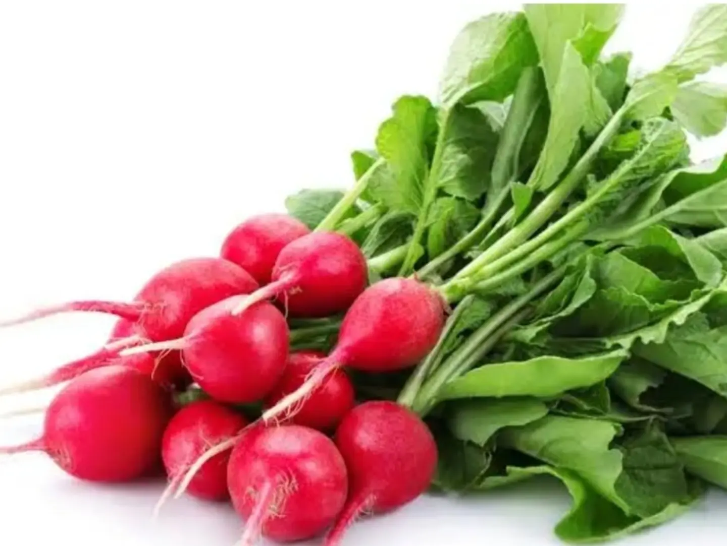 Red Radish