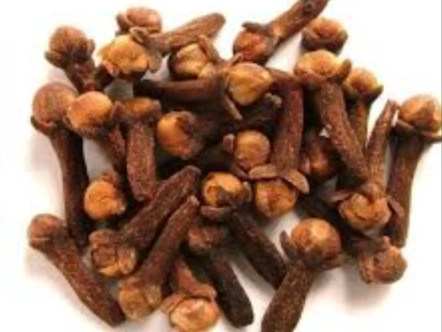 مسمار حب علبه