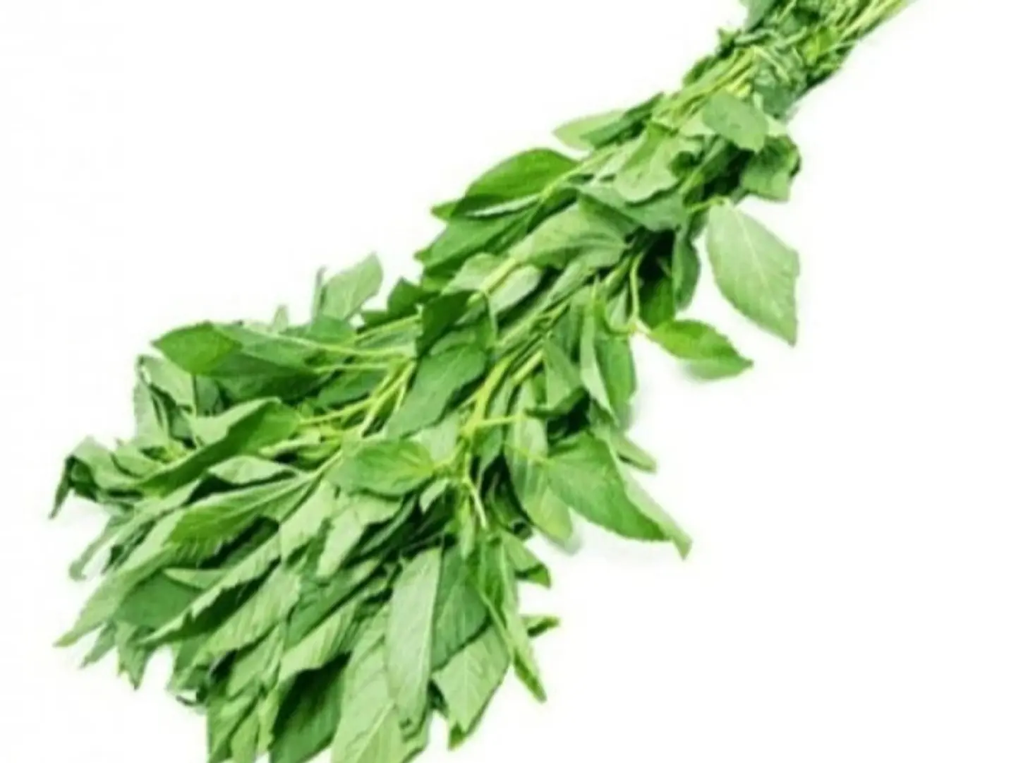 ملوخية ثلاث حبات