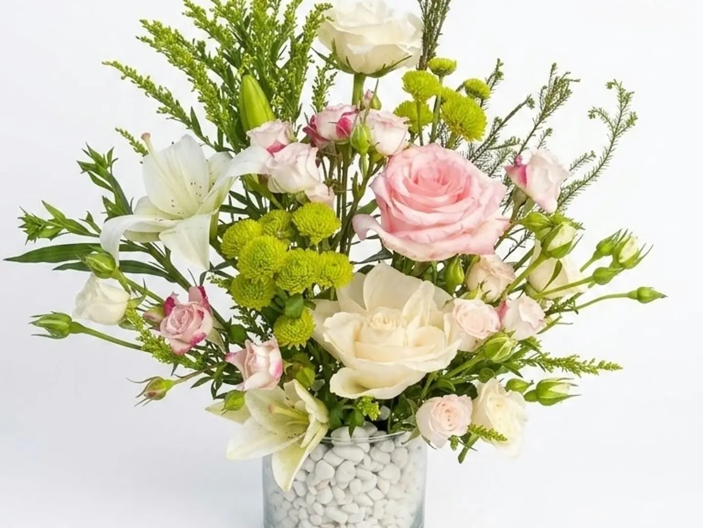 فازه 23