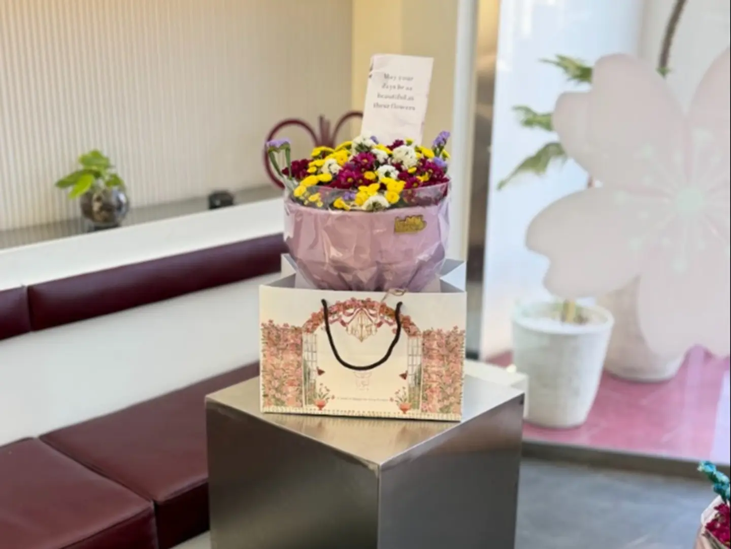 Laura 50 Package