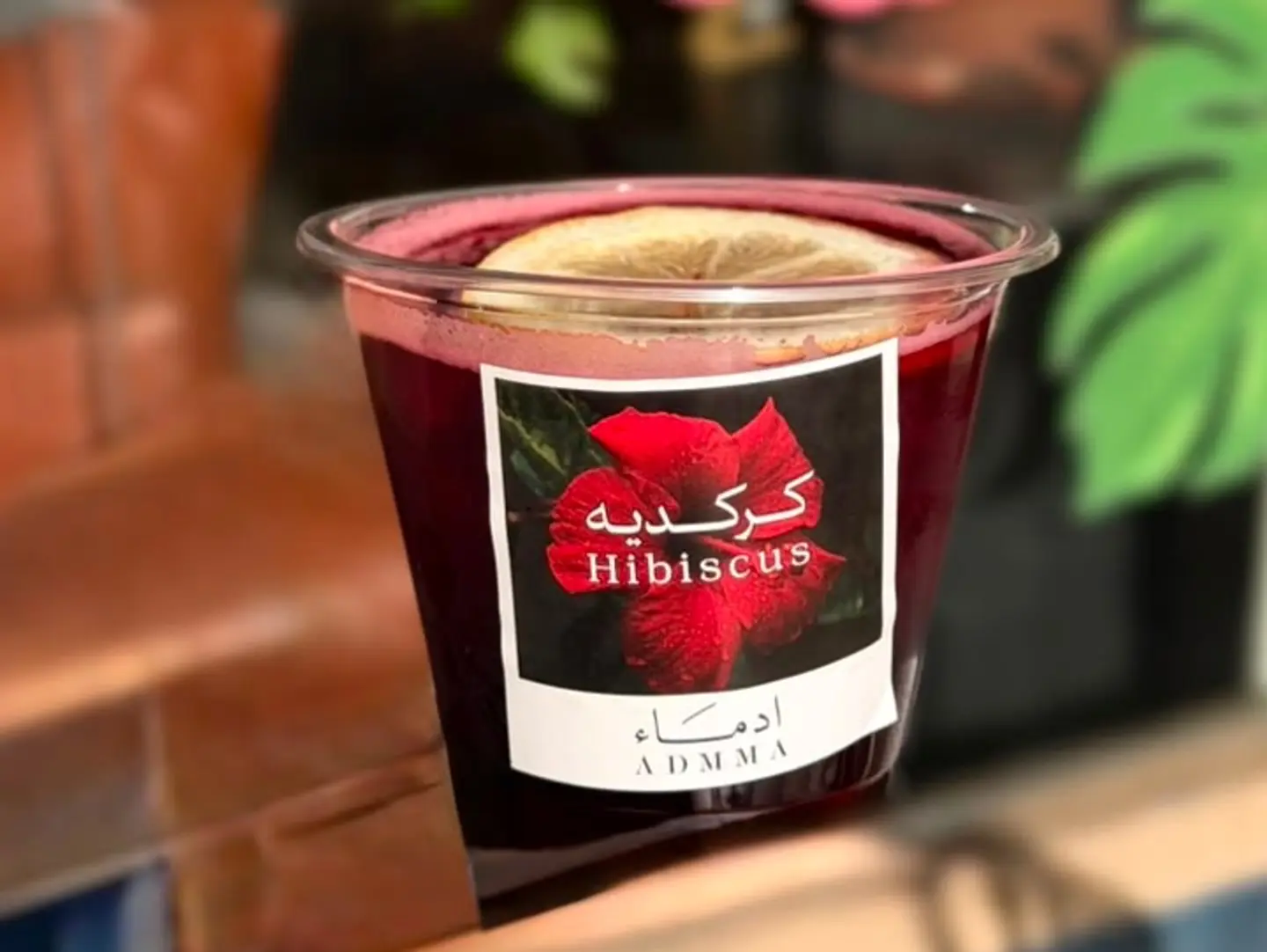 سلاش كركديه