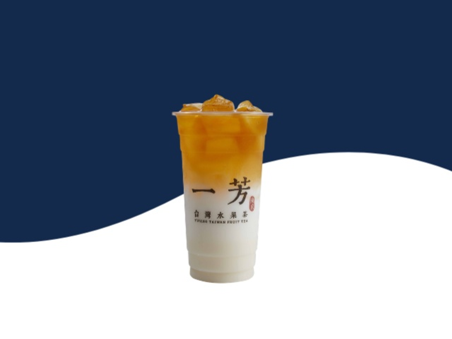 Oolong Tea Latte - Medium