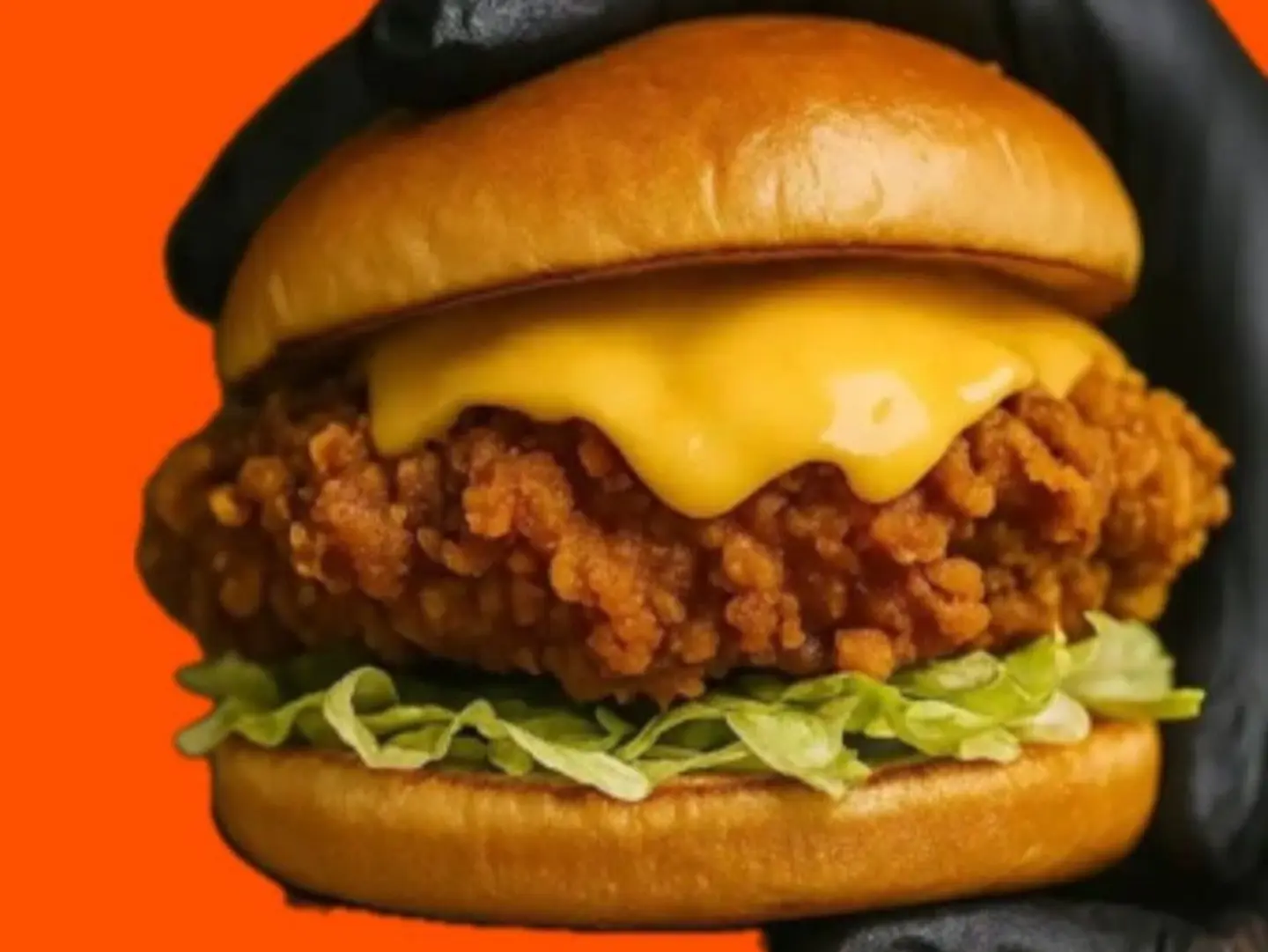 Crispy Crunchy Burger