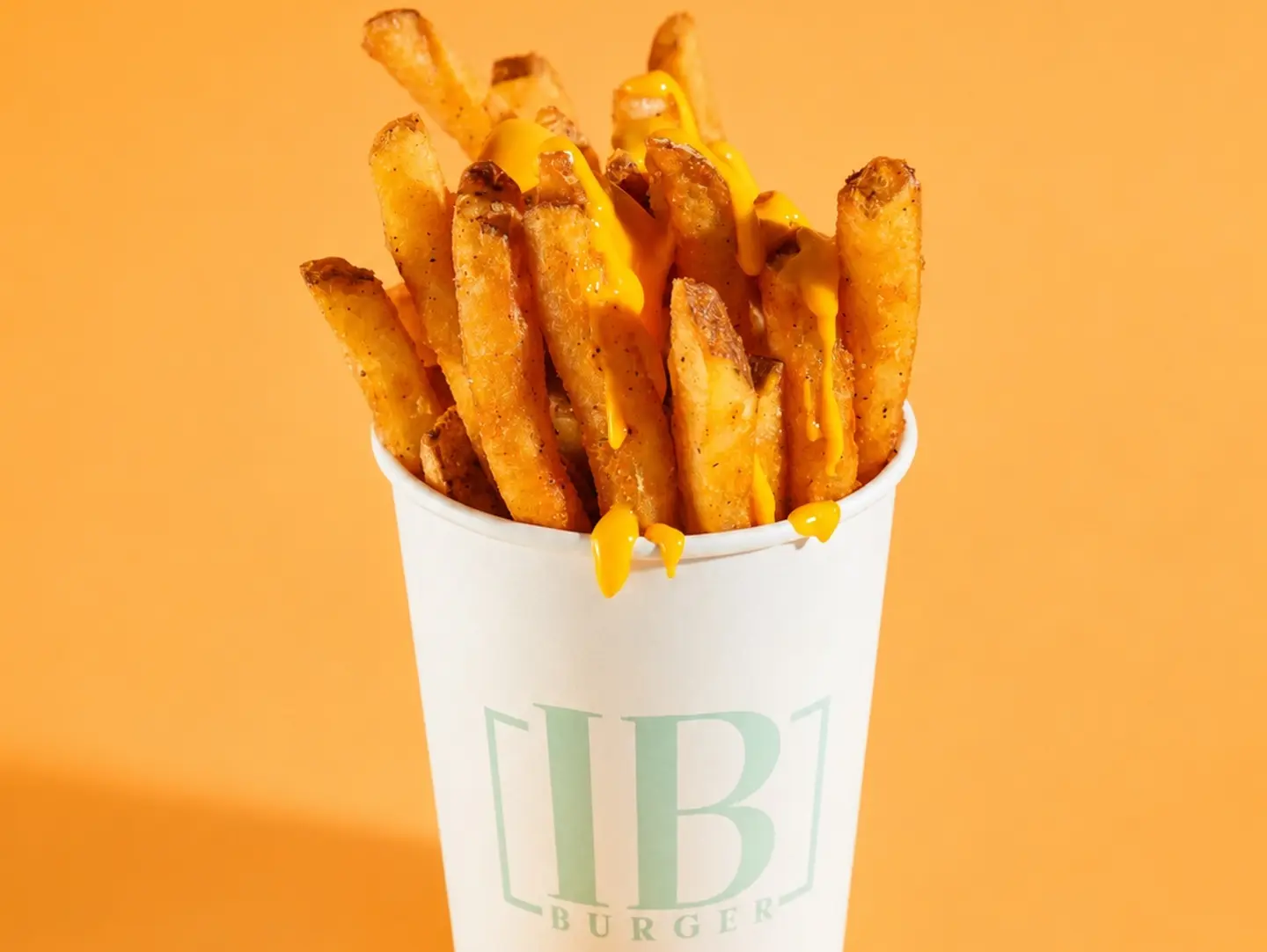 Cheesy Fries