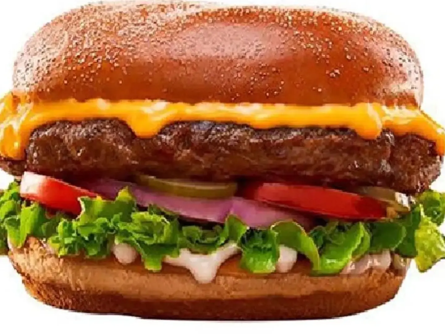 Camel Meat Burger - Regular