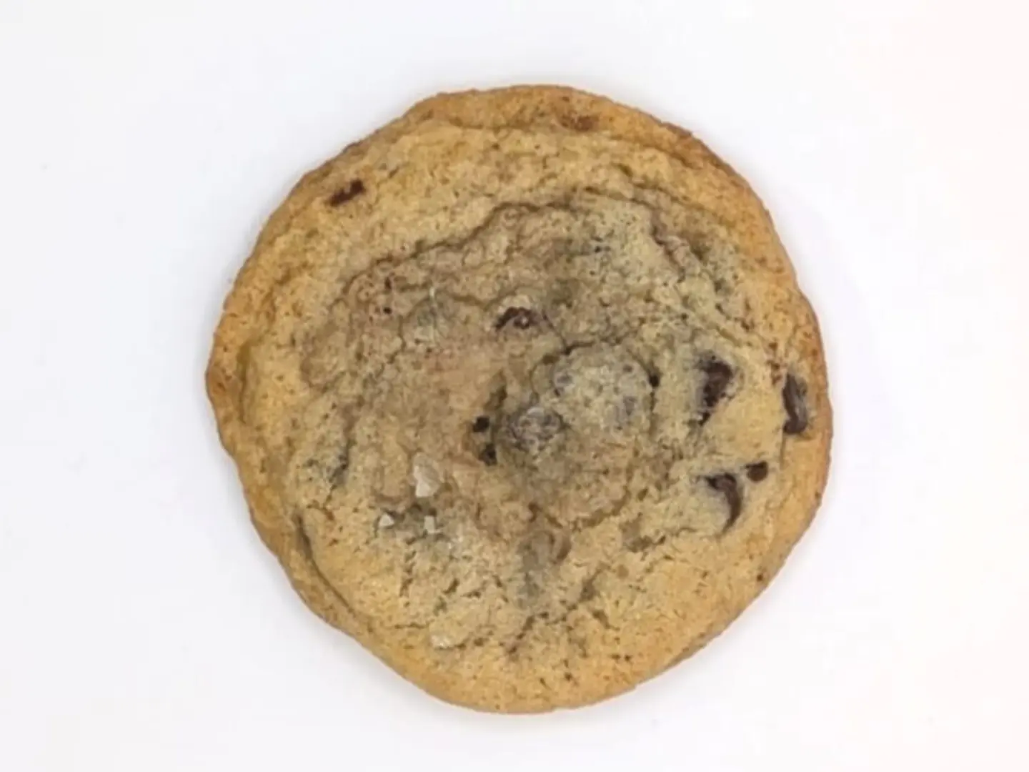 Sourdough Chocolate Chip Cookie