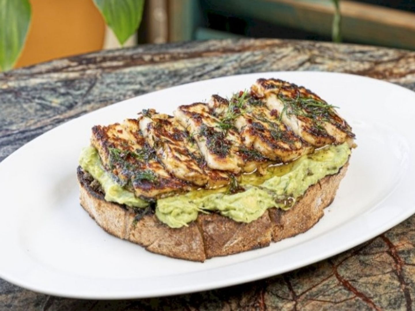 Avocado & Grilled Halloumi