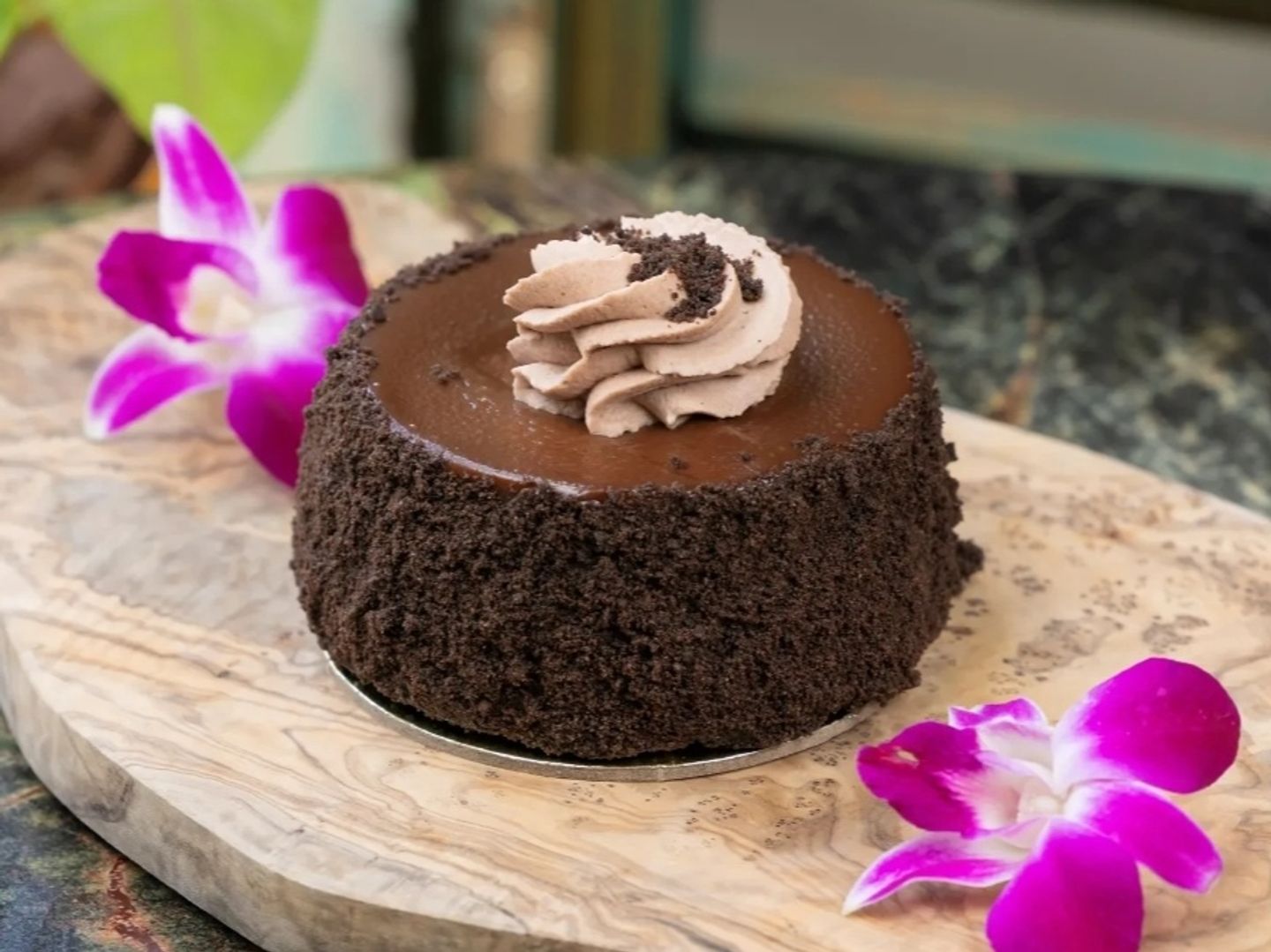 Chocolate Cheesecake