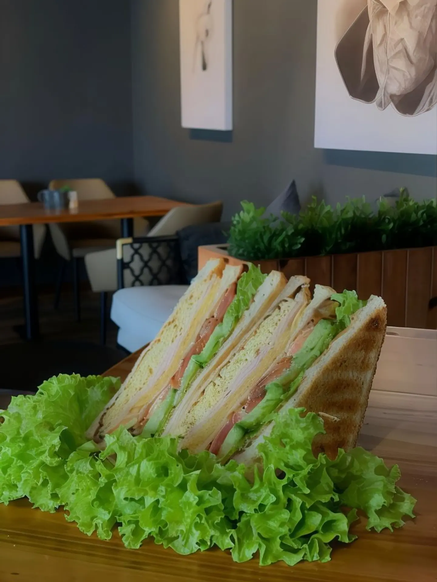 كلوب ساندويتش بالديك الرومي