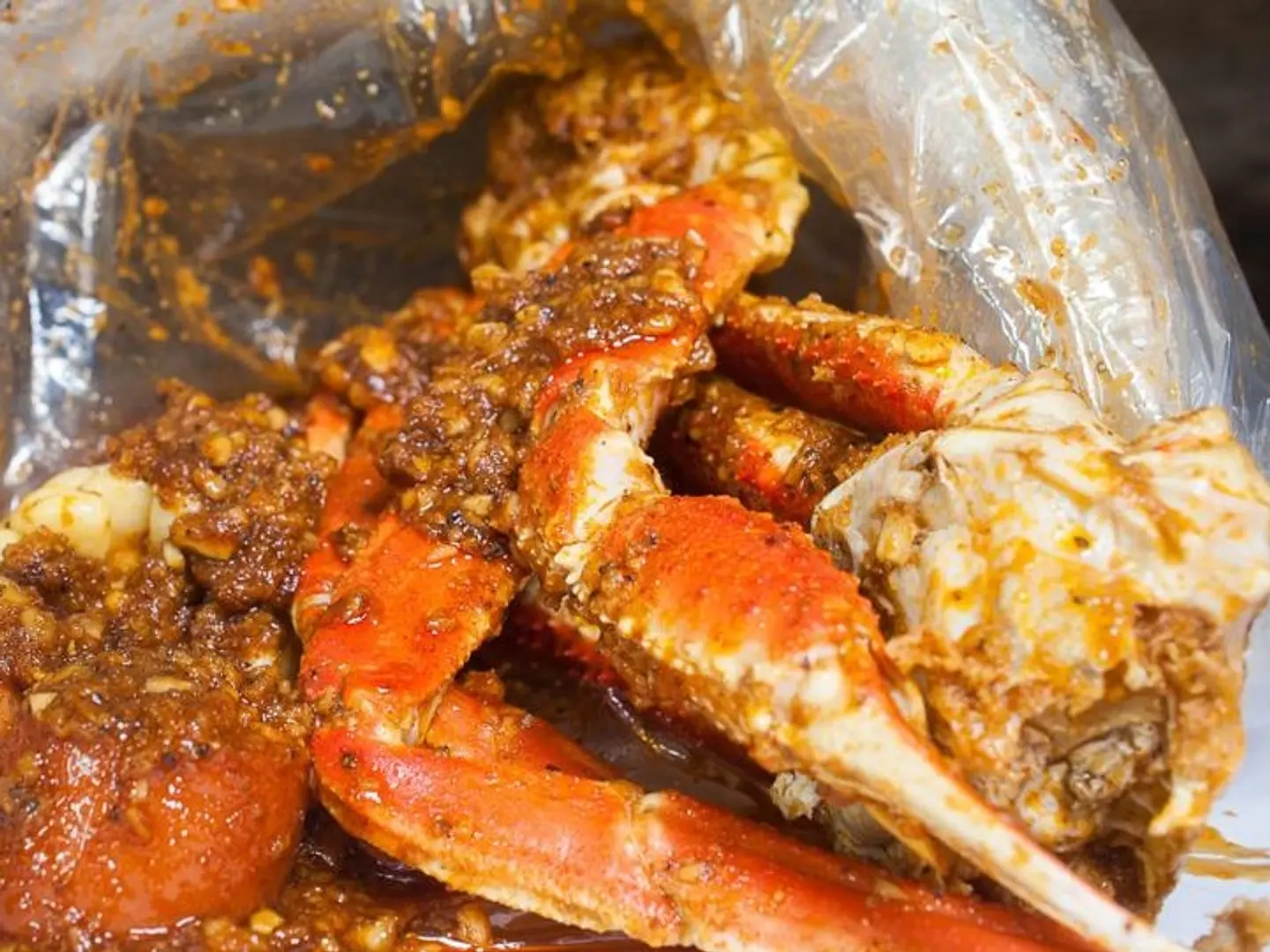 كابوريا صغير