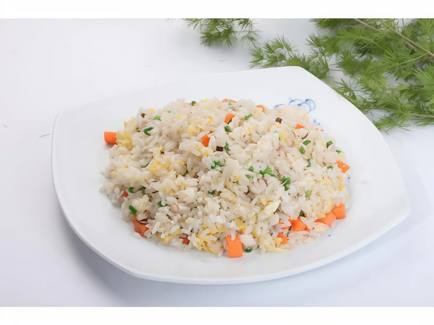 Yang Zhou Fried Rice
