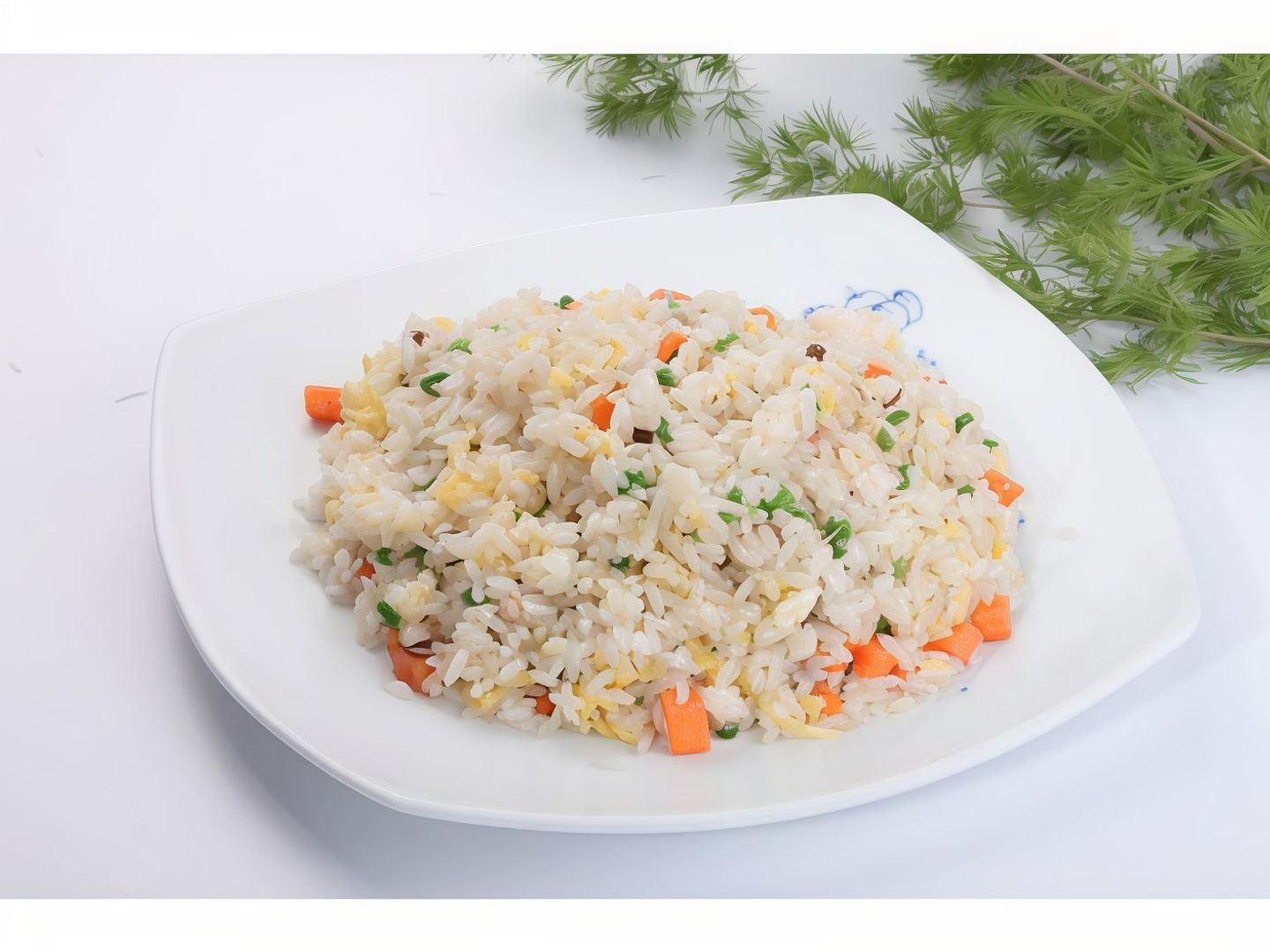 Yang Zhou Fried Rice