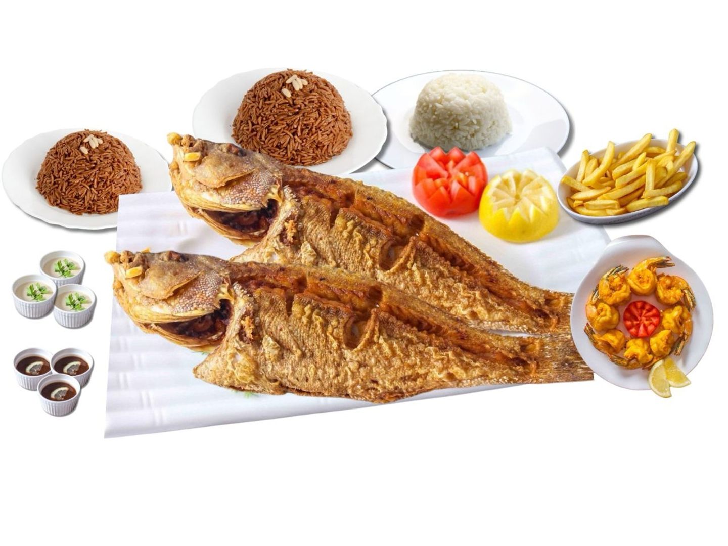 هامور بلس