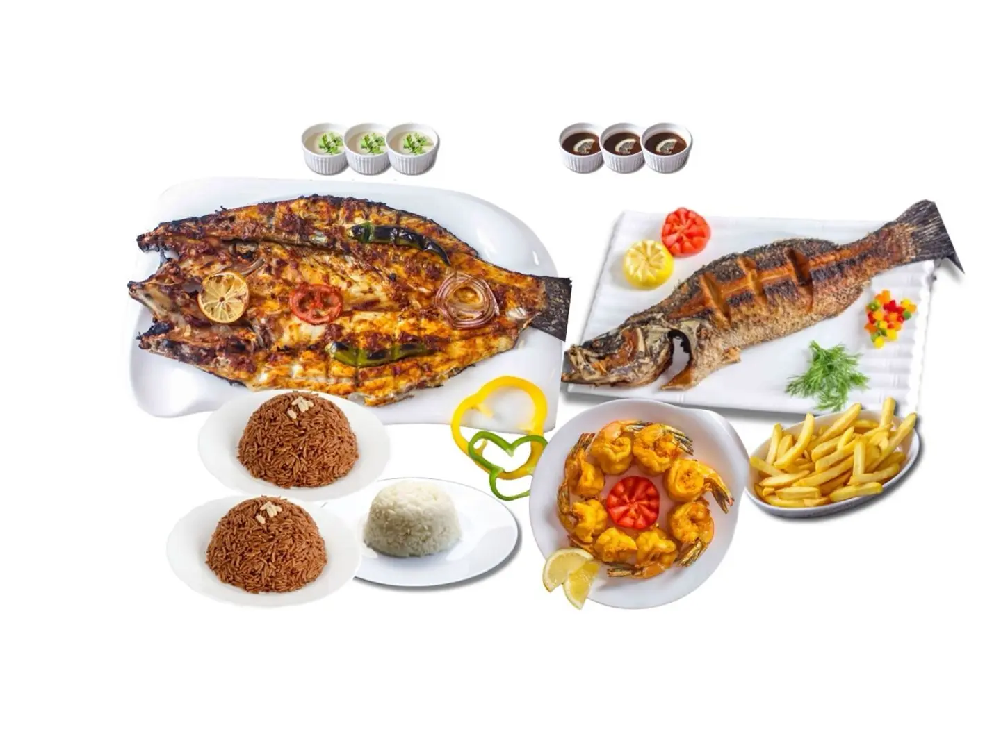 Seabass Plus