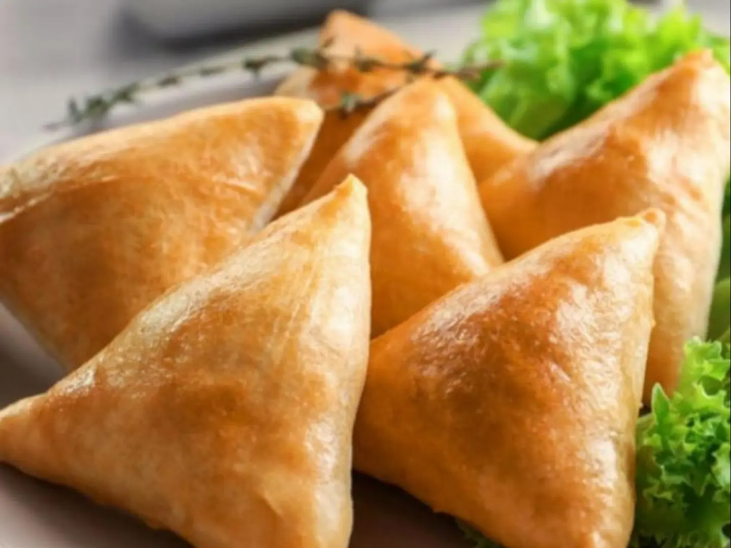 Chicken Samosa
