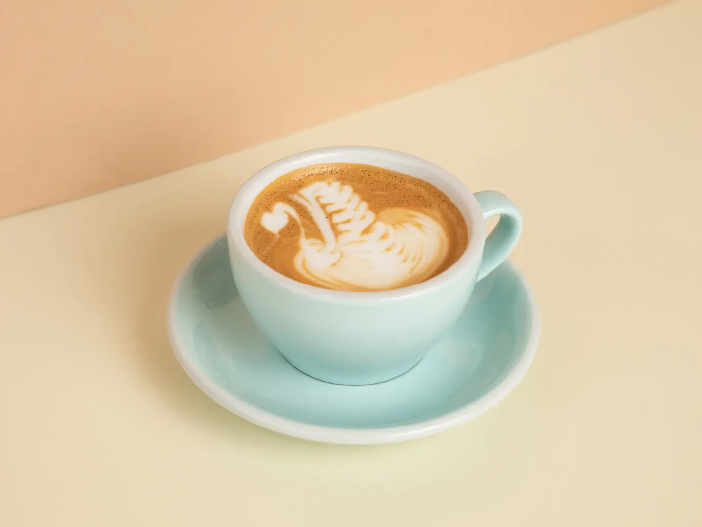 Hot Mocha - Hot Moch