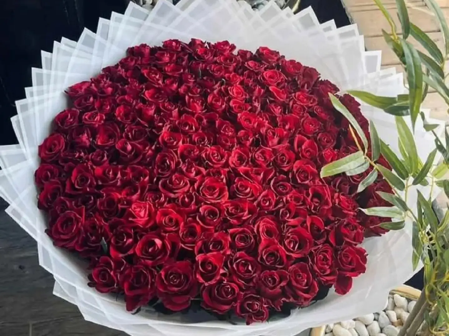 باقة لوري