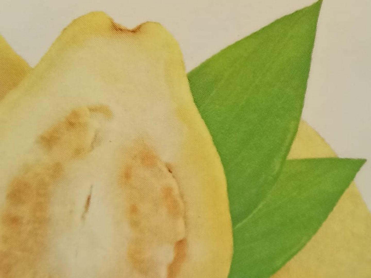 عصير جوافة