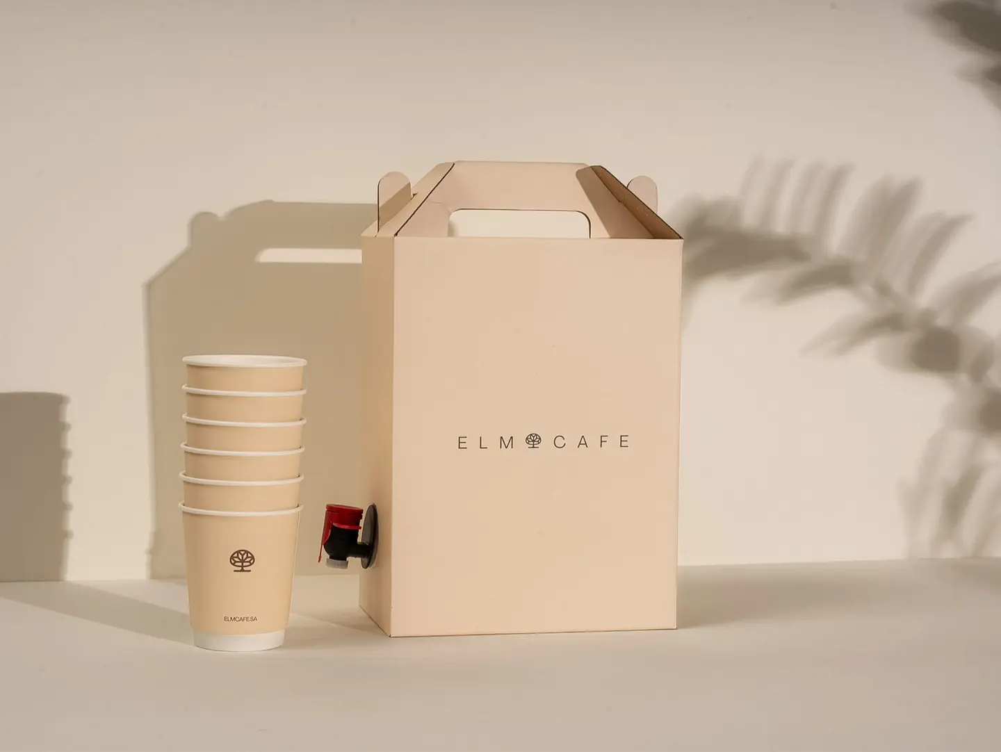 Coffee Of The Day Medium Box 10 Cups