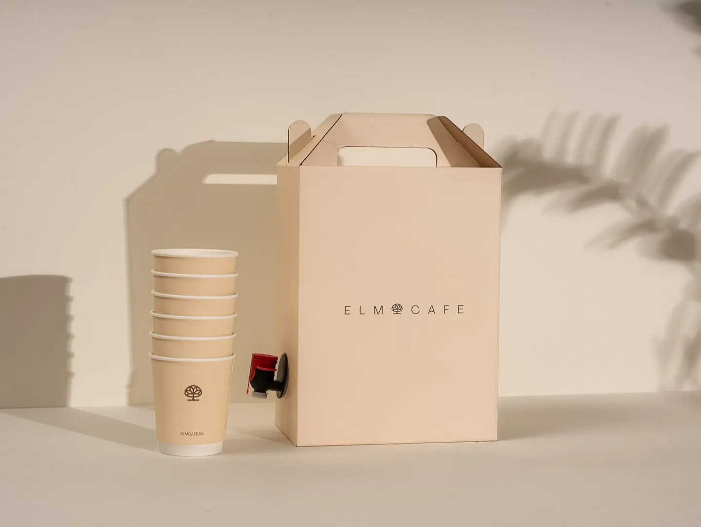 Coffee Of The Day Small Box 6 Cups
