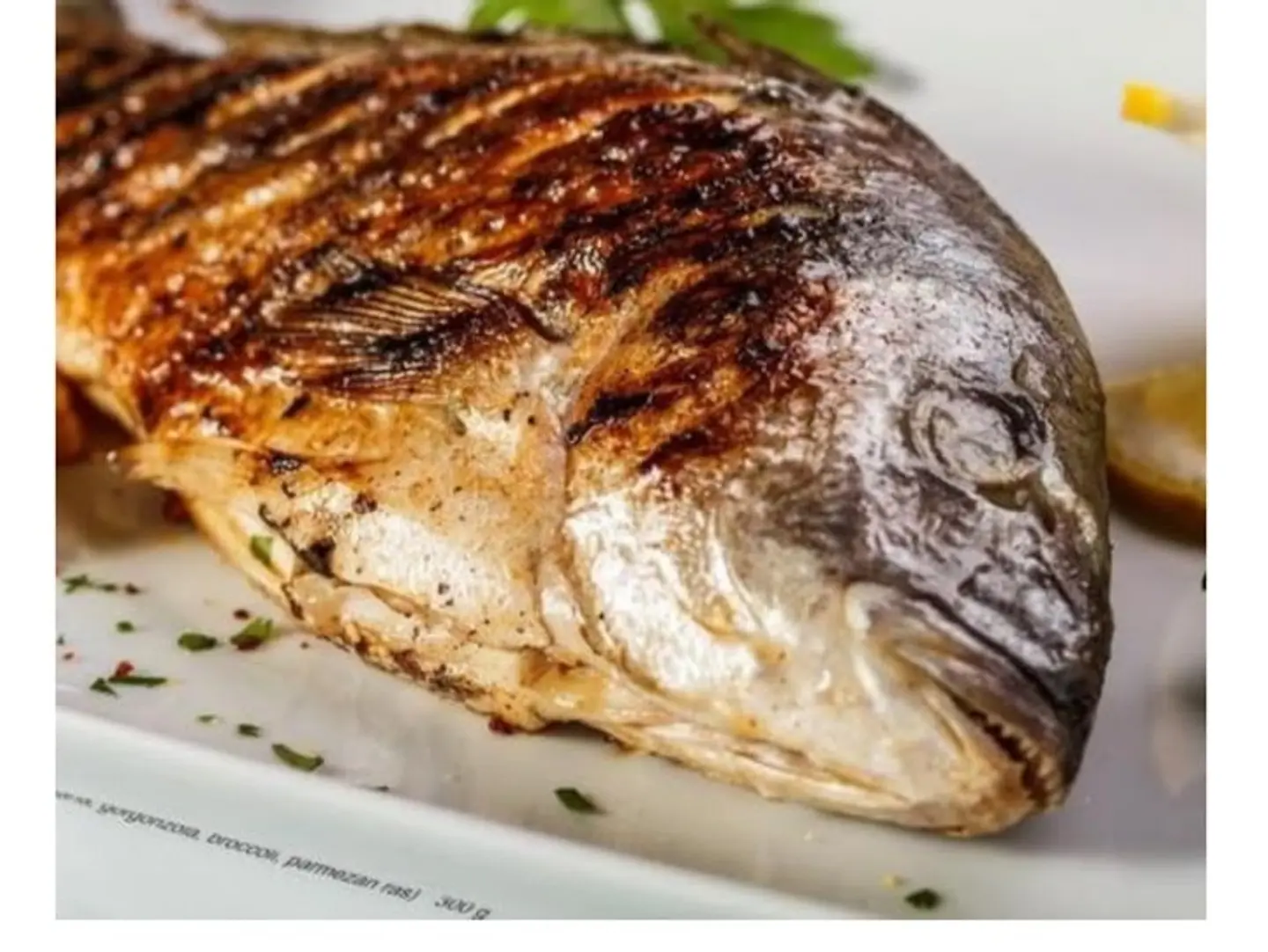 Fish Supreme