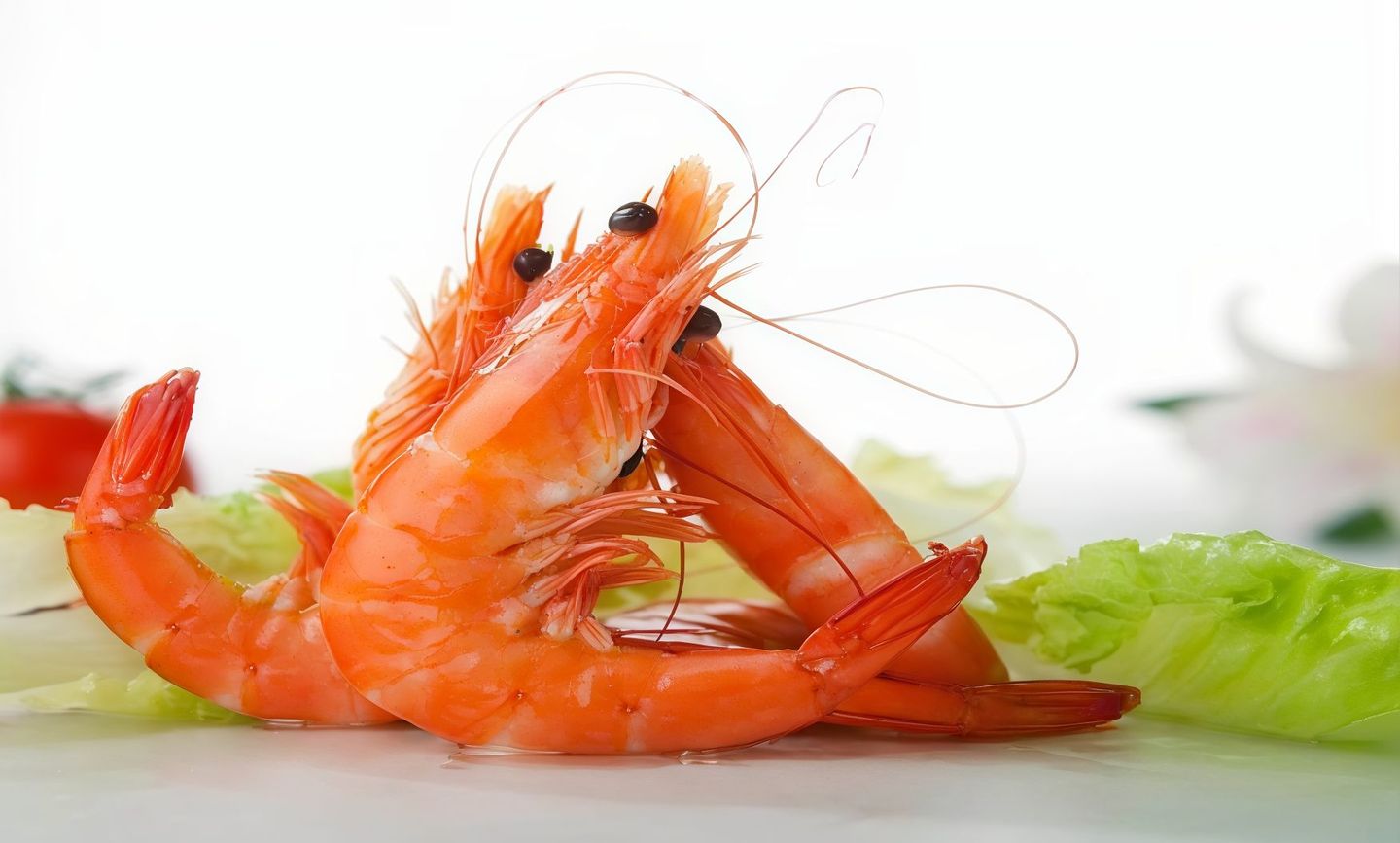 Medium Whole Cooked Shrimp 500 Gm