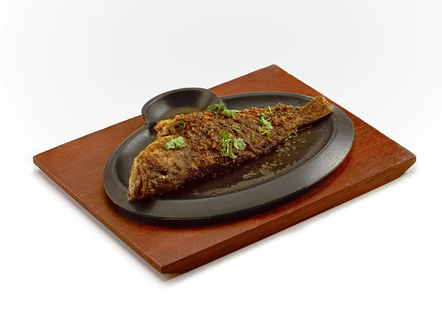 سيسليه هامور