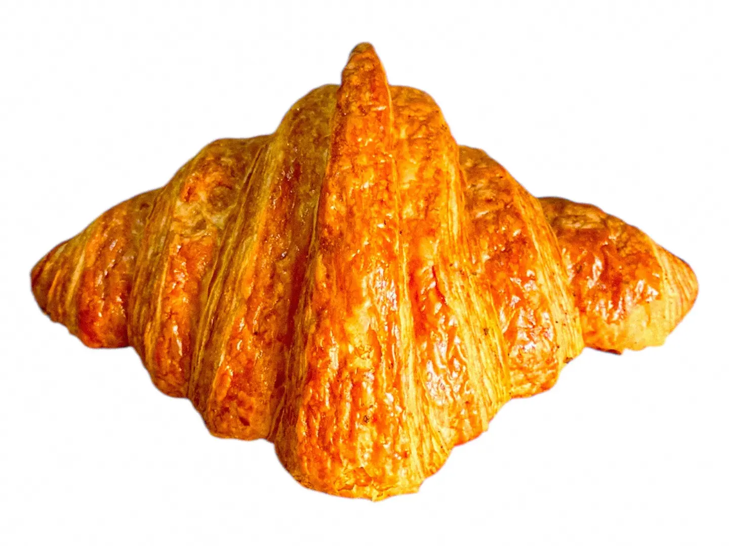 Croissant Plain