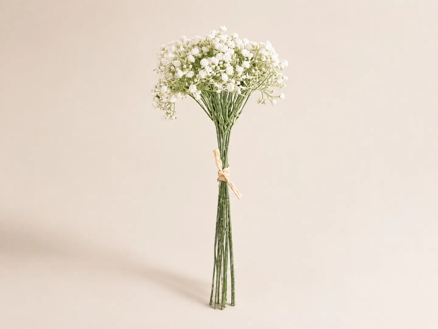 Gypsophilia