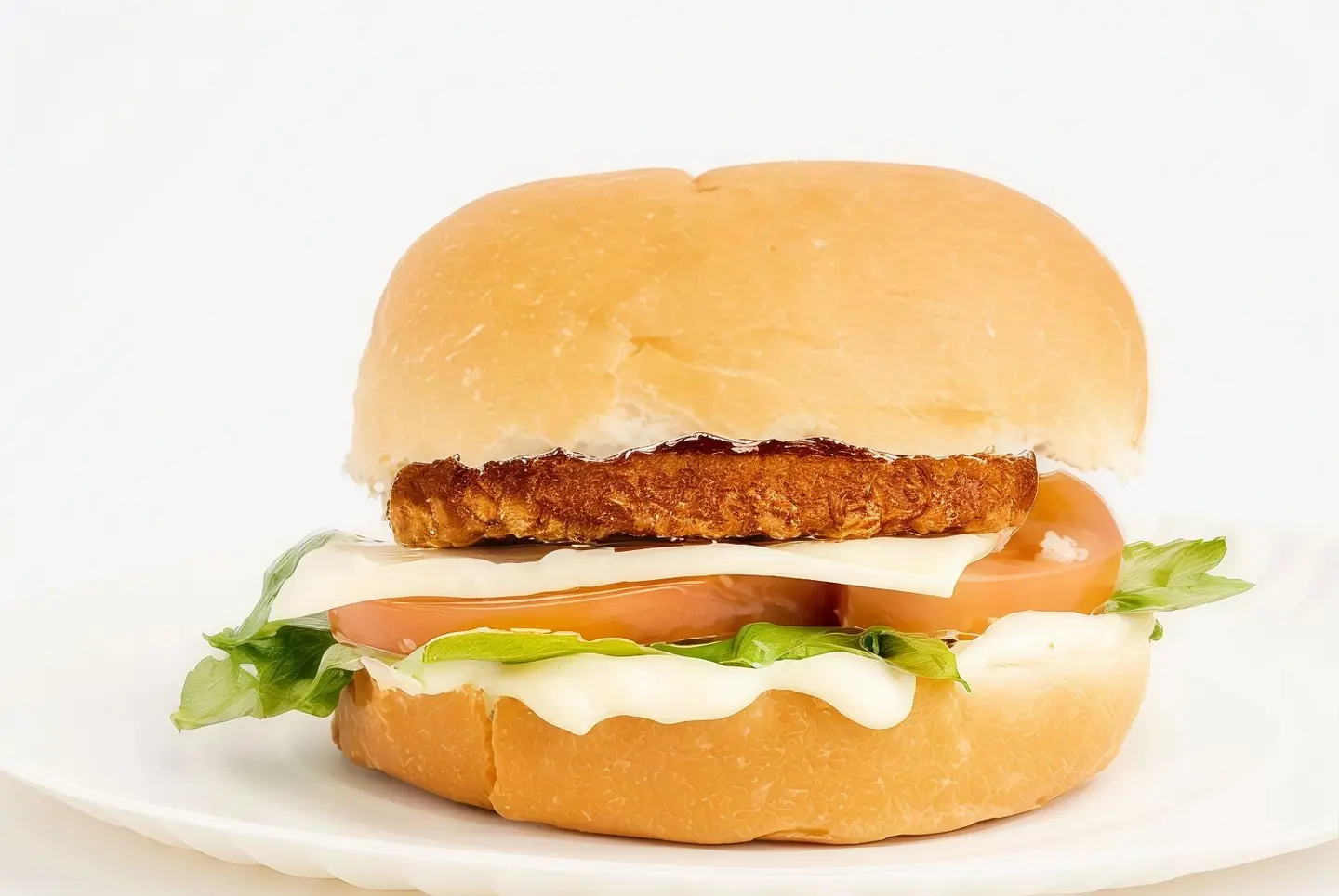 Circular Fillet Meal