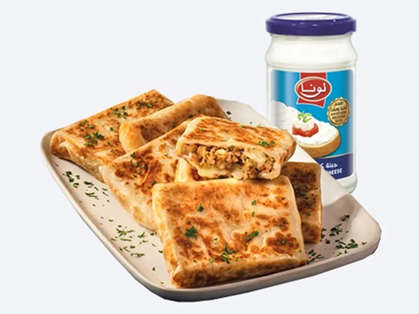 مطبق دجاج اسبيشل