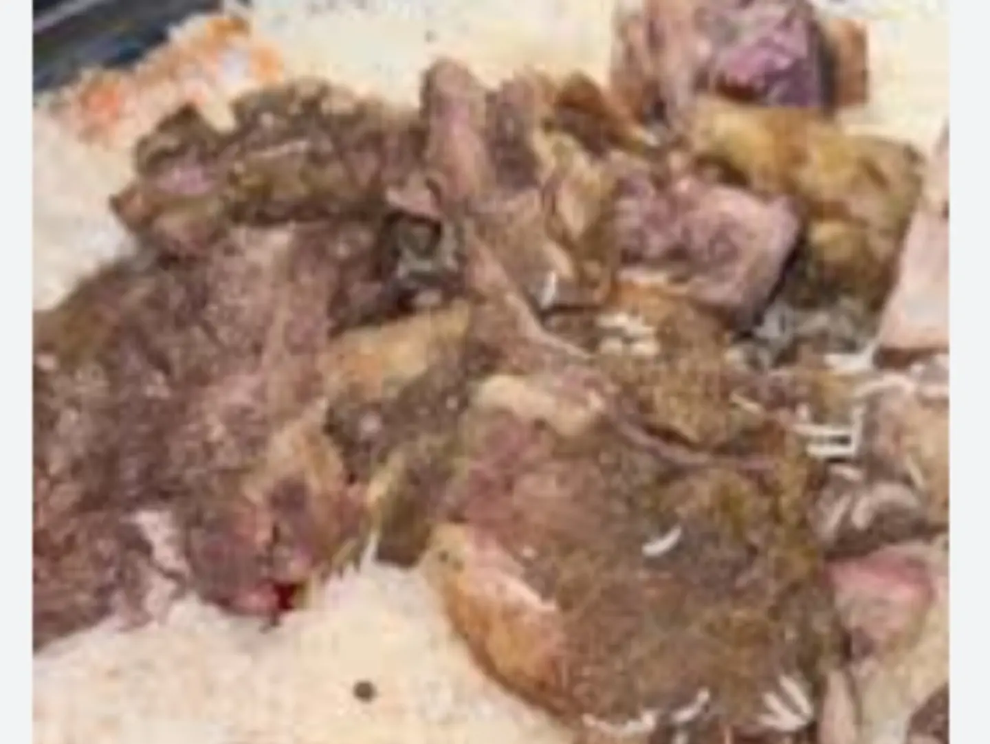 Meat Wrapped In Foil