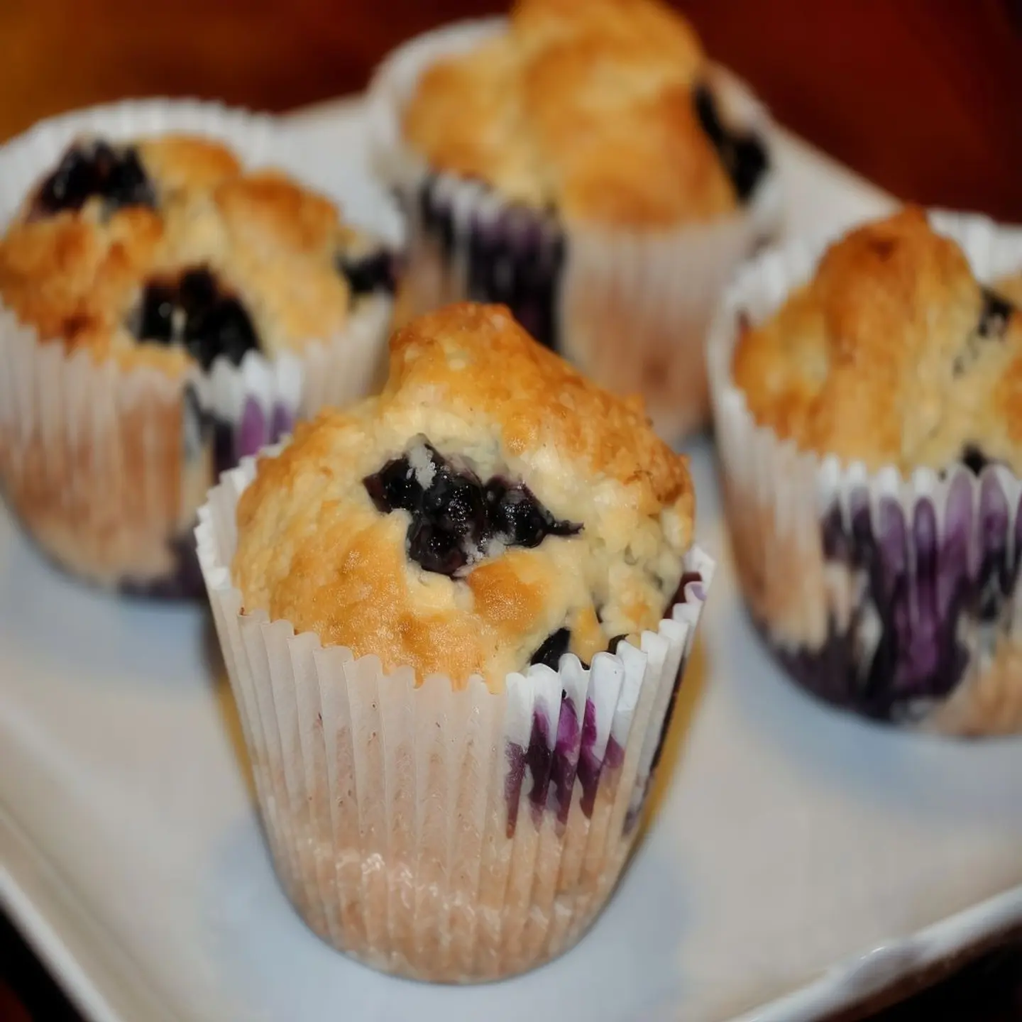 Blueberry Cupcake