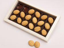 علبه جوزيه