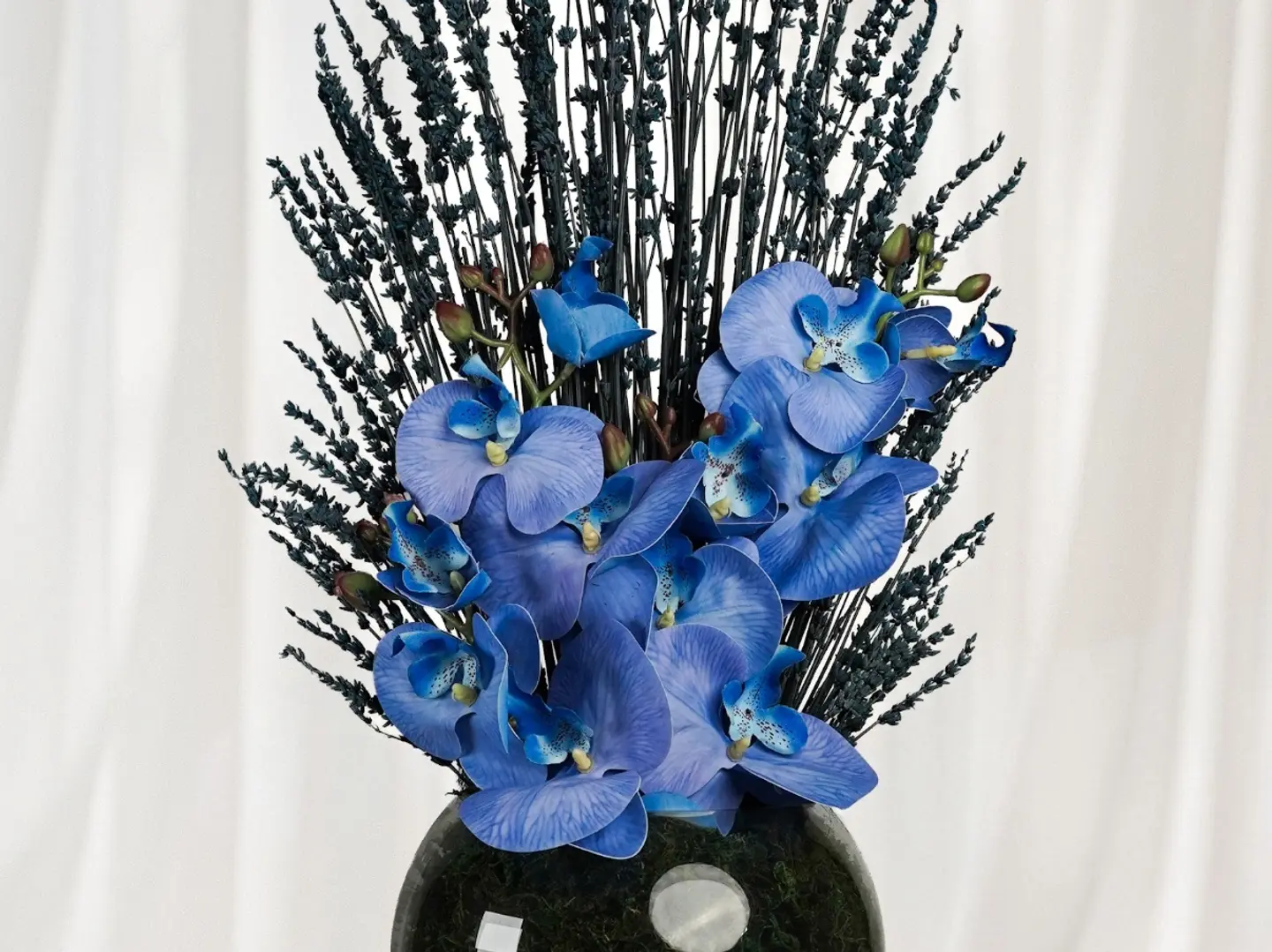 Blue Lavender Delight