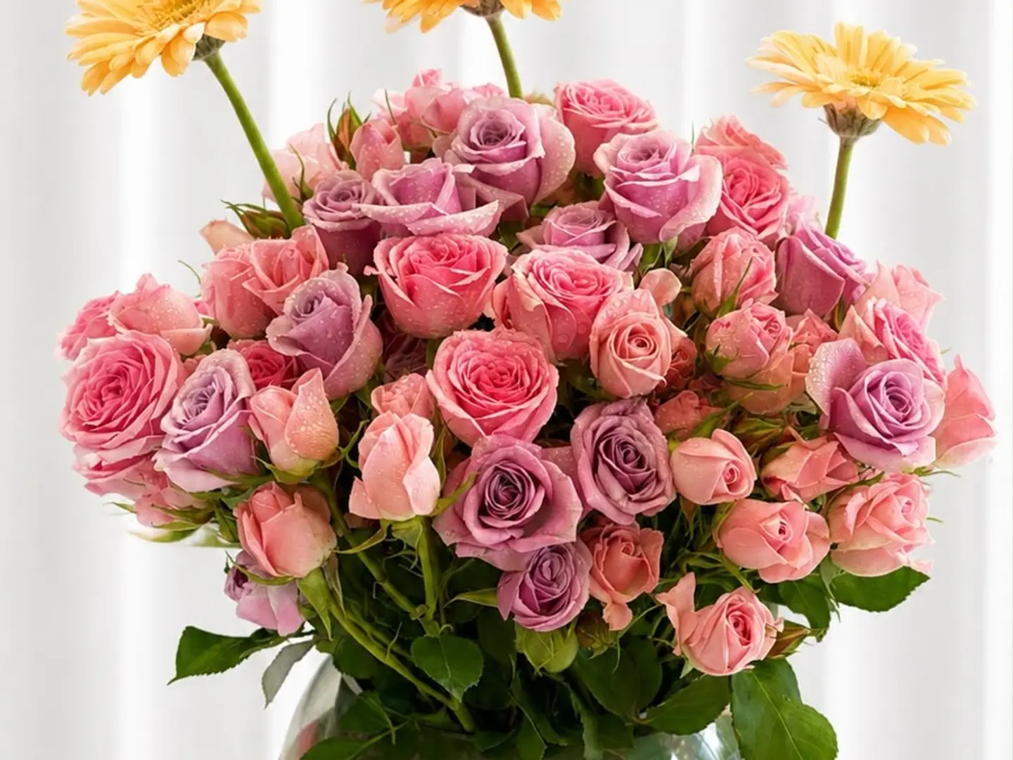Joyful Blooms