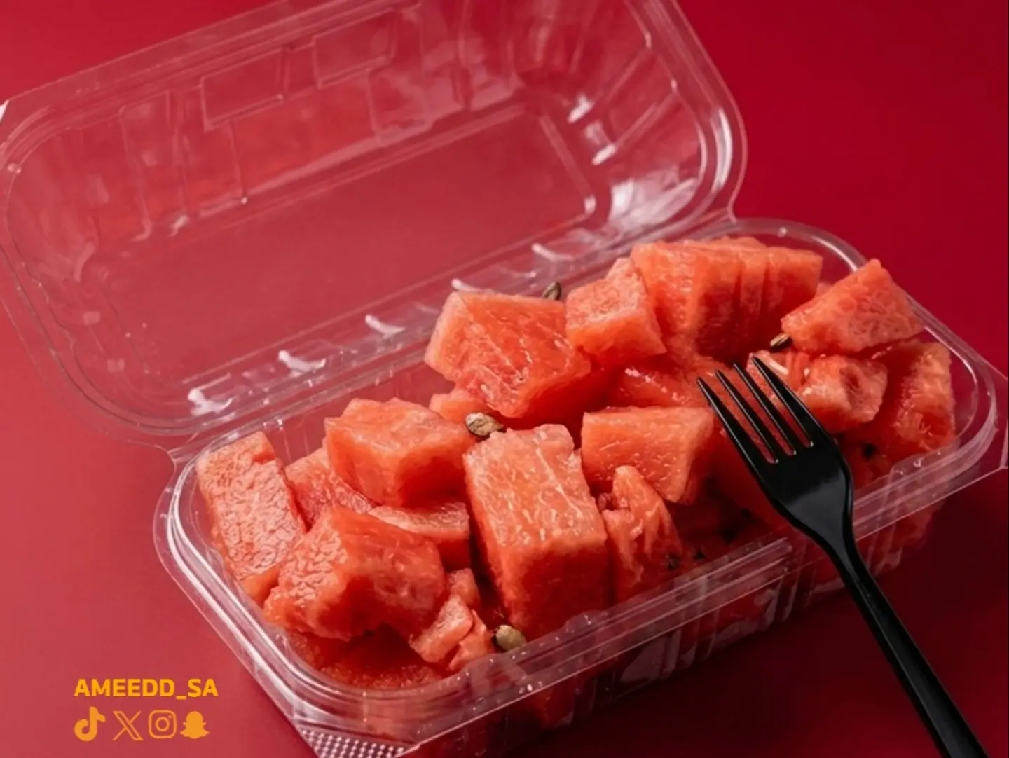 Watermelon Dish